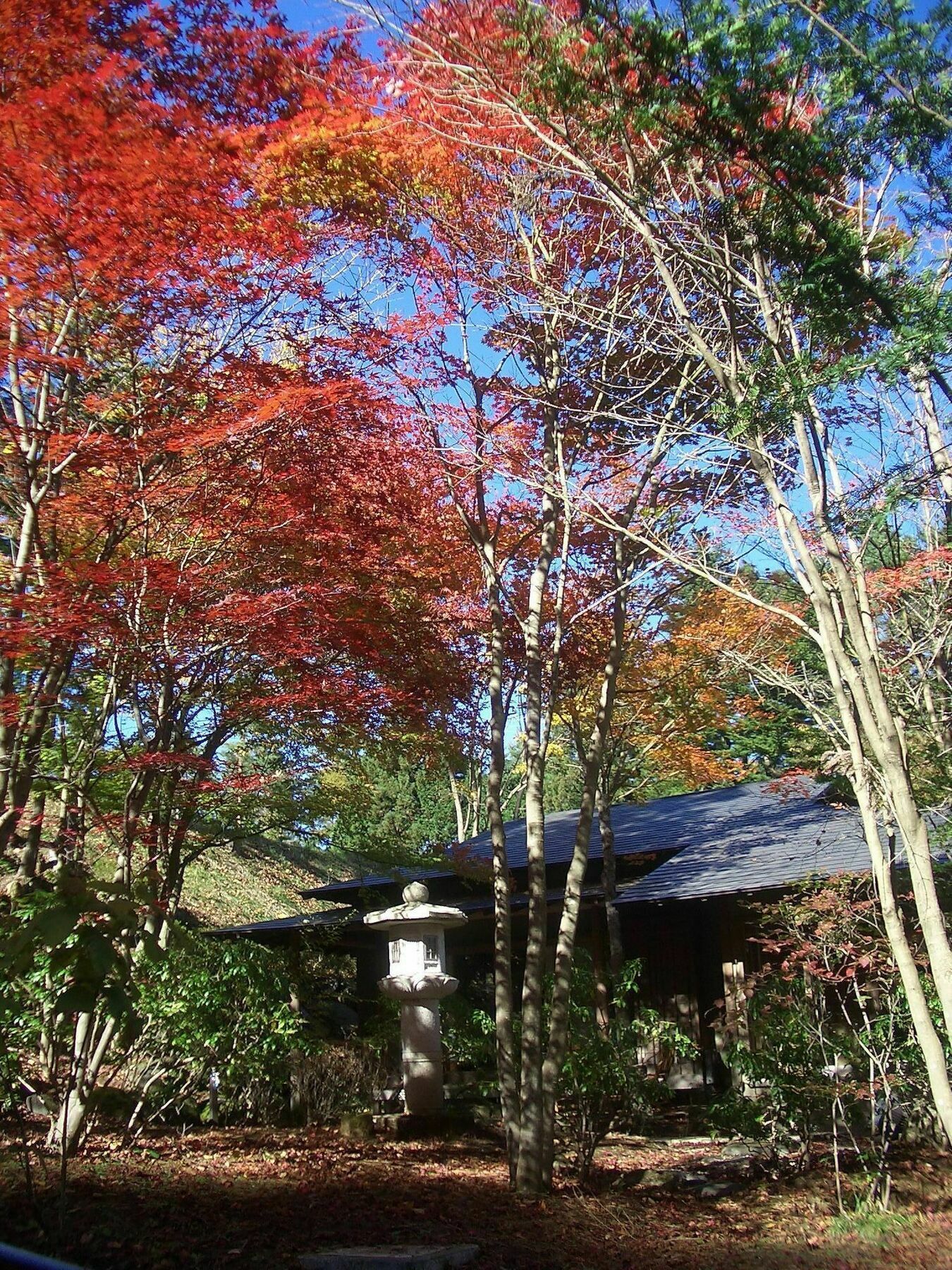 Shikitei Hotel Fujiyoshida Buitenkant foto